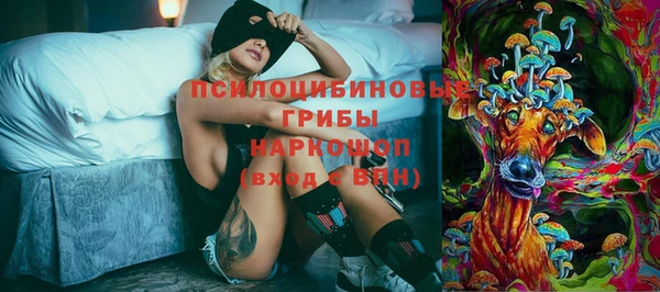 спиды Аркадак