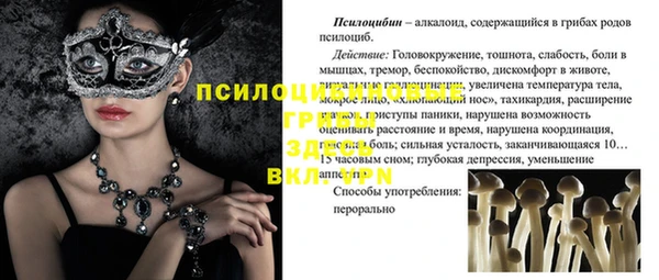 шишки Алзамай